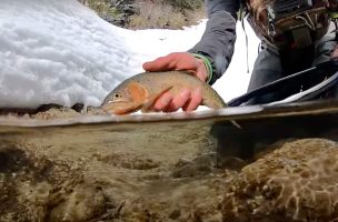 Late Spring Fly Fishing Snowshoe Adventure