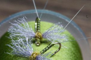 How to Fish a Blue-Wing Olive Hatch