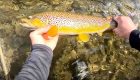 Enchanted April: A Fly Fishing Adventure in Central New York