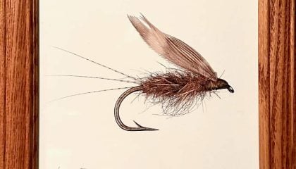 What Was Old is New Again: Fishing With Wet Flies