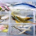Beginner's Guide to Saltwater Fly Fishing