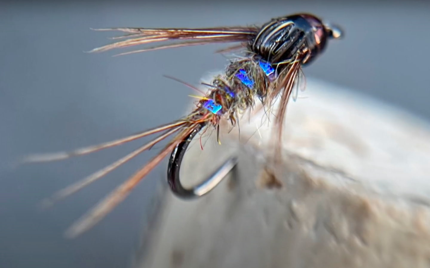 The Scruffy Opal Nymph | MidCurrent