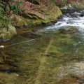 Ask MidCurrent: Overlining and Underlining Fly Rods