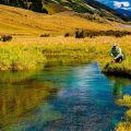 Ask MidCurrent: Understanding the Fly Rod and Line Weight System