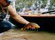 The Wooden Drift Boat Project: Fly Fishing the Green River