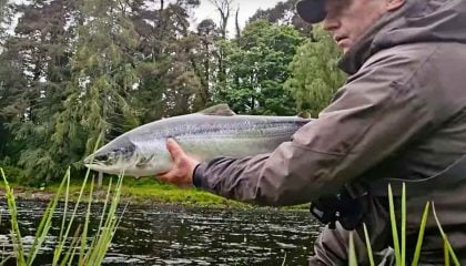 Fly Fishing for Salmon in Scotland