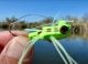 Fly Fishing for Bass with Frog Flies