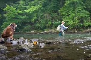 One Morning for Versatility: Nymphs, Dry Flies, and Streamers