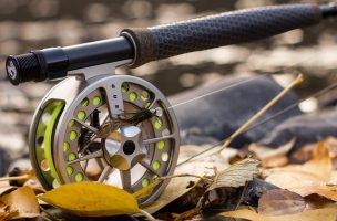 Ask MidCurrent: Year-End Game Plan for Trout in the Northeast