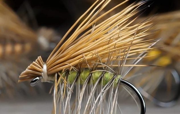 Get Twitchy With it: How to Move a Dry Fly to Catch More Trout