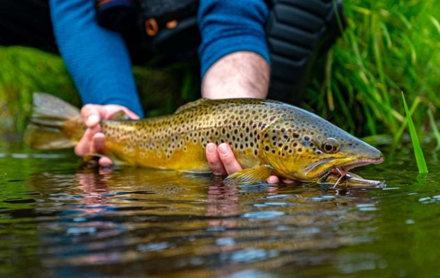 Carry a Big Stick: How to Pick the Right Streamer Rod