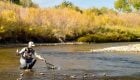 How to Net a Fish When Fly Fishing