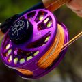 Why Fly Line Color Matters