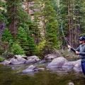 Flyfishers' Club Votes to Allow Women