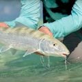 Fly Fishing a Remote Island Paradise