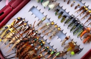 How to Pick the Perfect Flies Every Time