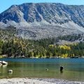 Catching Lake Trout on the Fly