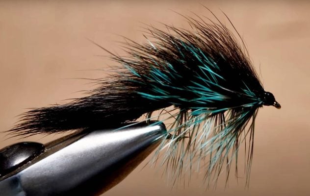 How to Tie the Black & Blue Bugger