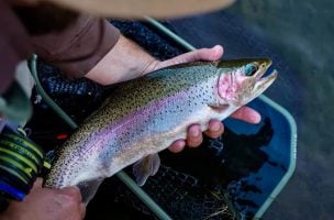 How To Fly Fish with Nymphs