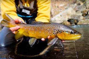 Fly Fishing with Streamers: Big vs Small