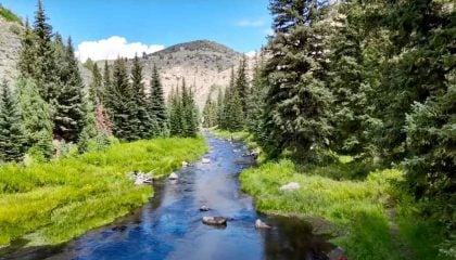 Fly Fishing Strategies for Every Type of River