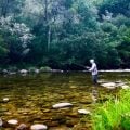 The Big Secret to Better Dry Fly Fishing