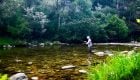 The Big Secret to Better Dry Fly Fishing