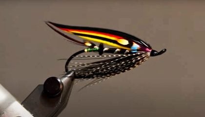 Black Peril Fly Tying Tutorial