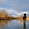 Ask MidCurrent: The Strip or Reel Predicament