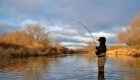 Ask MidCurrent: The Strip or Reel Predicament