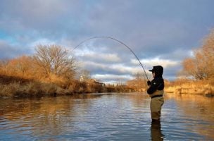 Ask MidCurrent: The Strip or Reel Predicament