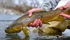 Winter Fly Fishing Tips: Stay Warm and Catch More Fish