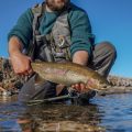 Tips for Winter Midge Fishing