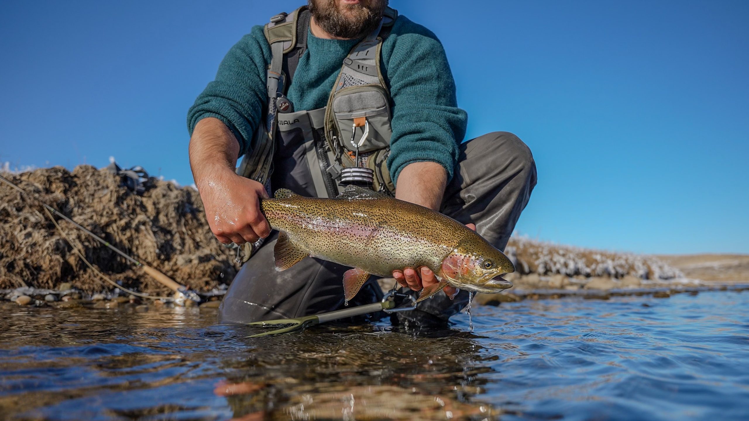 Tips for Winter Midge Fishing