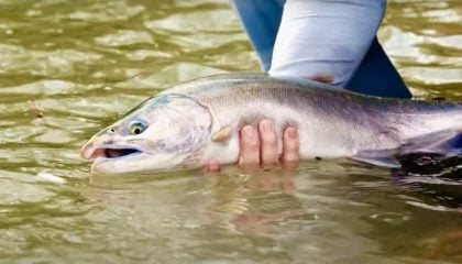 From Alabama to Alaska: An Adventure in Fly Fishing