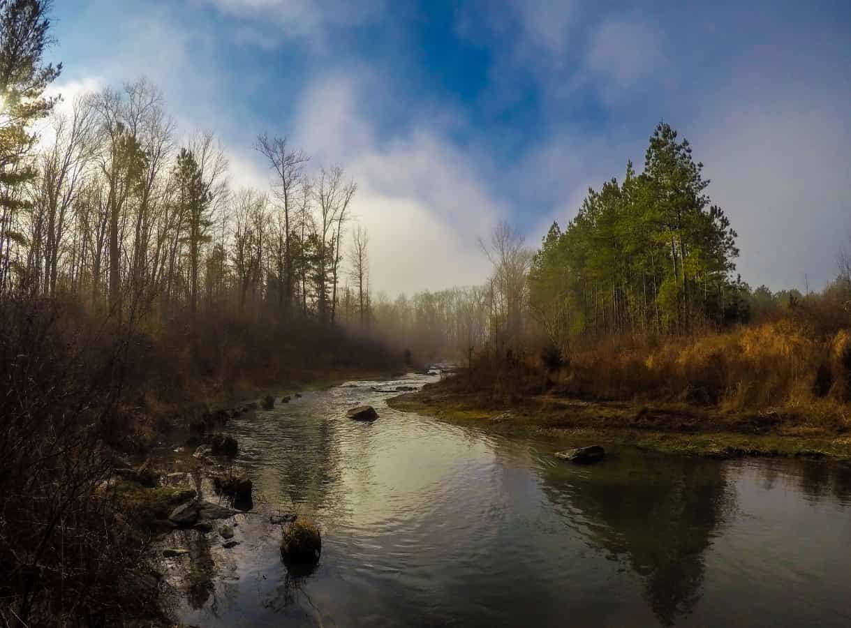 26 Percent of Freshwater Fish Species at Risk of Extinction