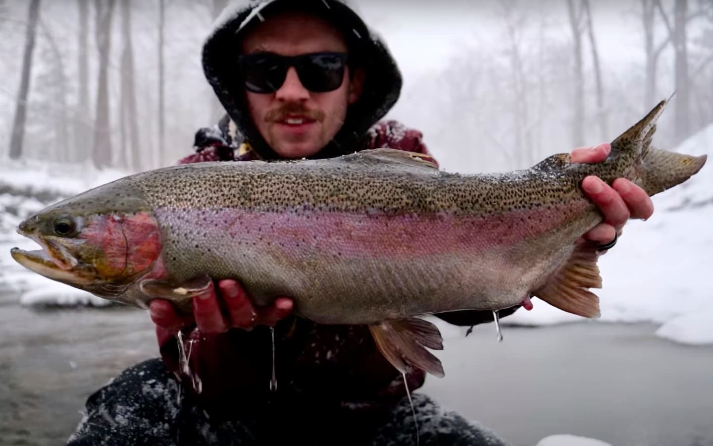 Fly Fishing in Miserable Conditions: Erie Steelhead