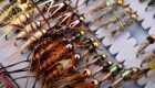 How To Match the Hatch with Stoneflies