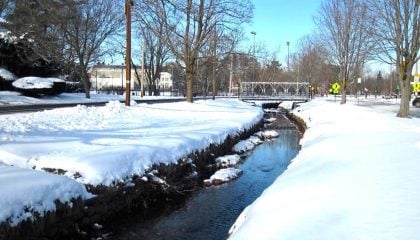 Suburban Streams: The Next Frontier in Native Fish Conservation