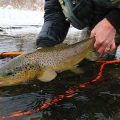 The Ins and Outs of Tightline Nymphing