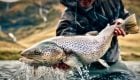 Vivid Dreams: Fly Fishing Iceland