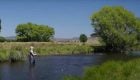 Master Dry Fly Casting in the Wind