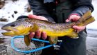 Winter Fly Fishing Small Creeks