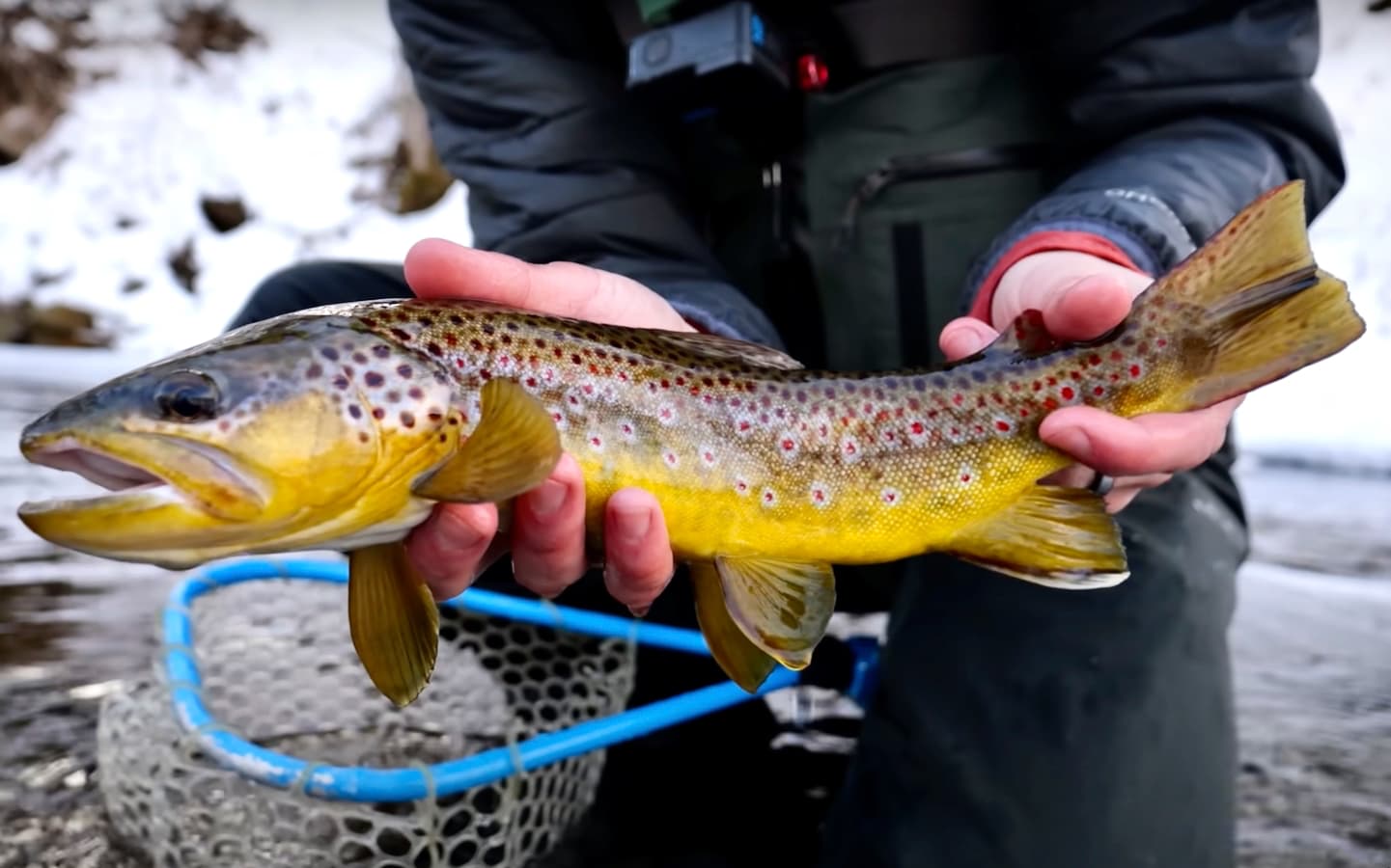 Tips for Big Winter Brown Trout