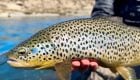 Remote Desert Fly Fishing in Iceland