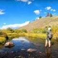 Tips for Trout Anglers on a Budget