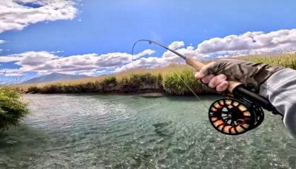 Fly Fishing a Small Spring Creek for Large Brown Trout