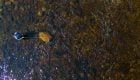 Ask MidCurrent: How Do You Mend to Get a Better Drift?
