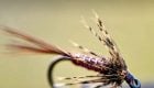 Isonychia Soft Hackle by Tim Flagler