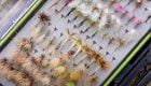 Best Spring Fly Fishing Flies: 14 Must-Have Patterns